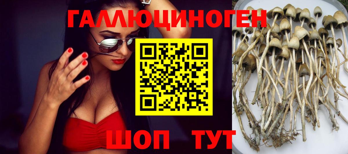 Галлюциногенные грибы Magic Shrooms  Вход с VPN  Саянск 